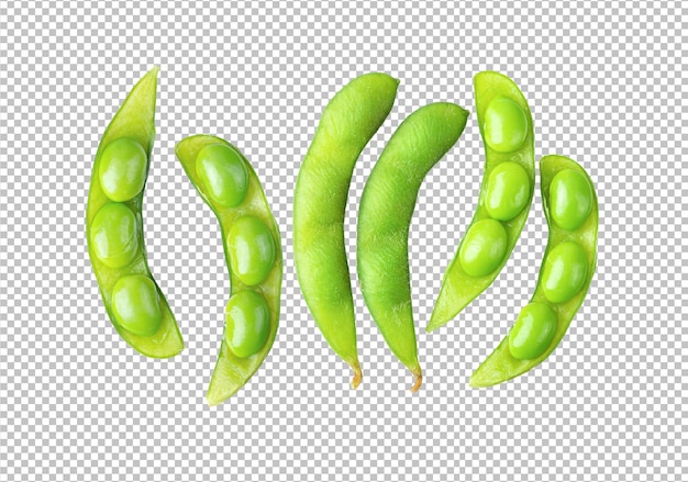 PSD green soybeans on alpha layer