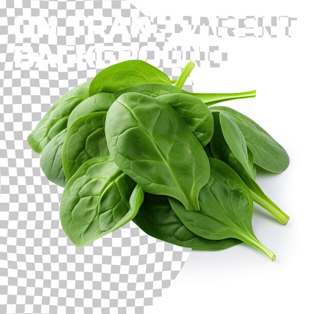 Green spinach isolated on transparent background