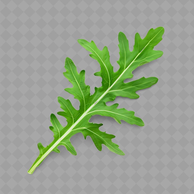 PSD a green sprig of parsley on a transparent background