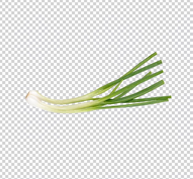 PSD green spring onion isolated premium psd