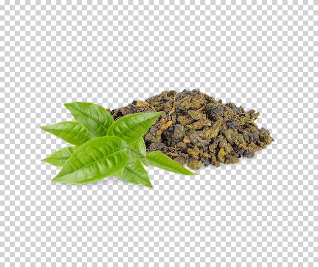 Green tea leaf isolated Premiun PSD