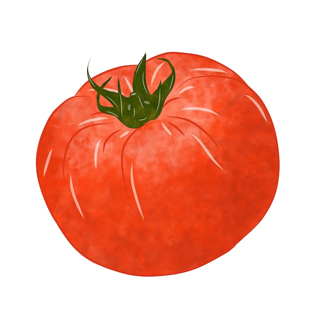 Pomodoro verde