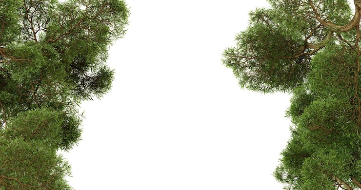 PSD green tree frame