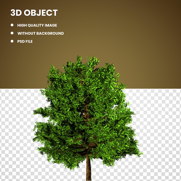 PSD alberi verdi