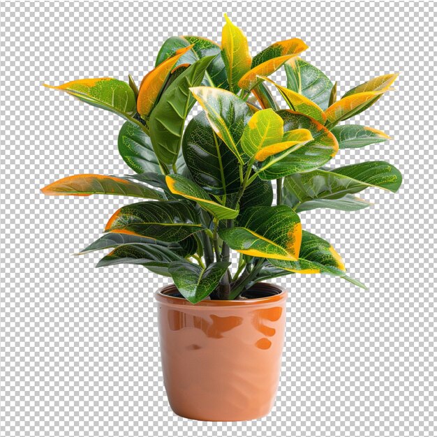 PSD green tropical leave potted plants