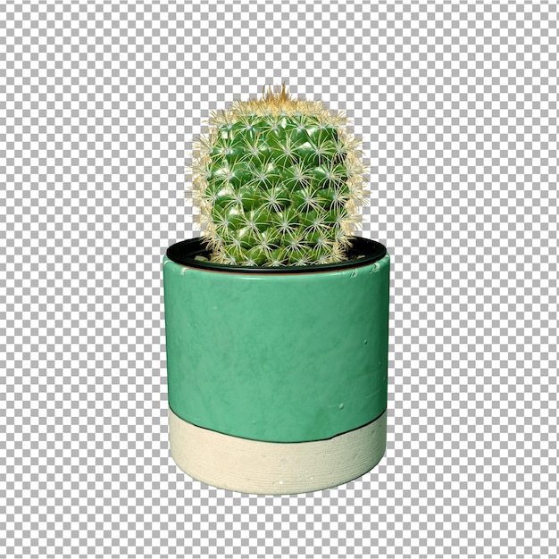 Un cactus verde e bianco in un vaso verde