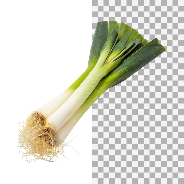 PSD green and white leek with roots isolated transparent background