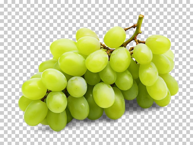 Uve da vino verdi isolate su sfondo trasparente png psd