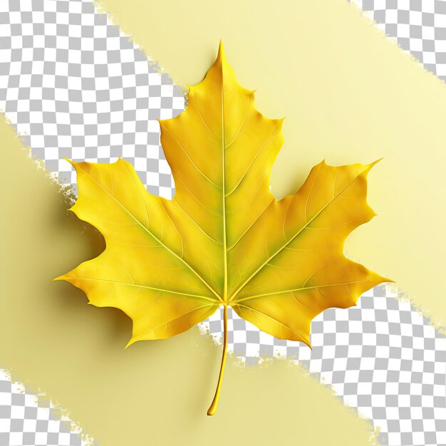 PSD green yellow leaf in the fall