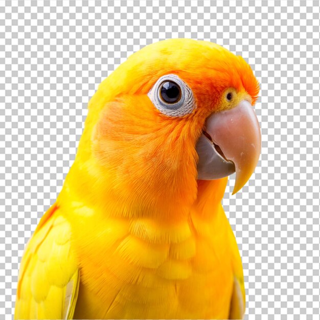 PSD green and yellow parrot in amazon isolated on transparent background