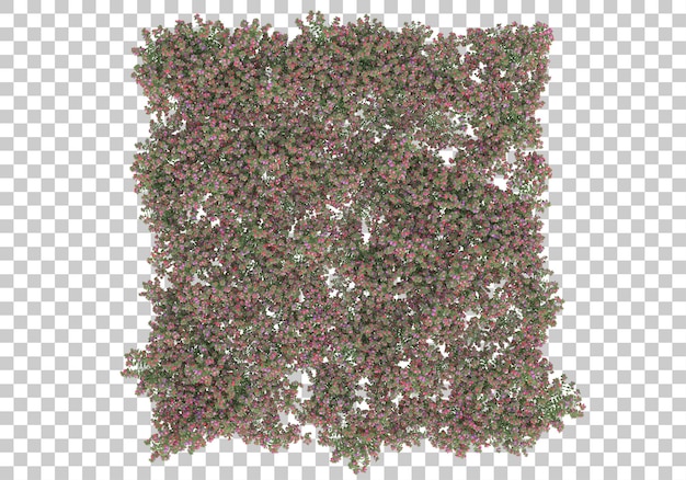Gresslette med transparent bakgrunn 3D-rendering illustrasjon