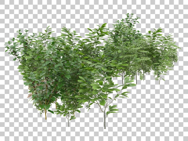 Gresslette med transparent bakgrunn 3D-rendering illustrasjon