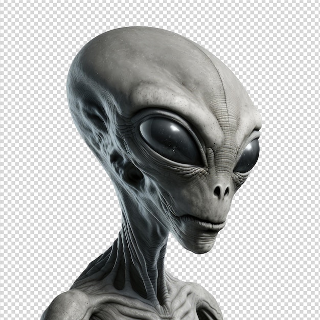 A grey alien with a large head and a large nose.