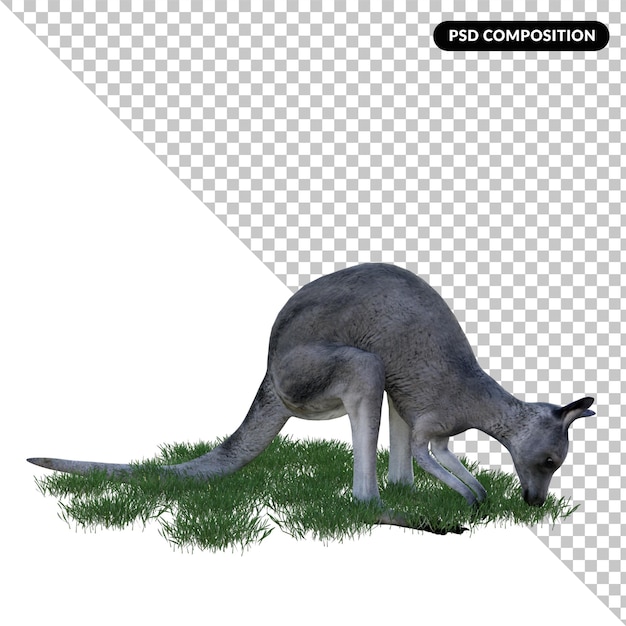 PSD grey kangaroo isolated 3d