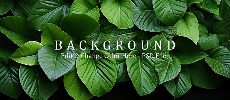 PSD groen blad achtergrond