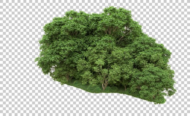PSD groen bos dat op achtergrond 3d teruggevende illustratie wordt geïsoleerd