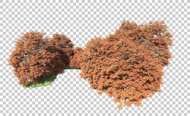 Groen bos geïsoleerd op de achtergrond 3d-rendering illustratie