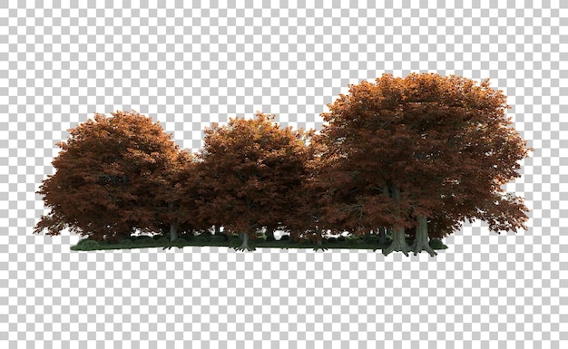 PSD groen bos geïsoleerd op de achtergrond 3d-rendering illustratie