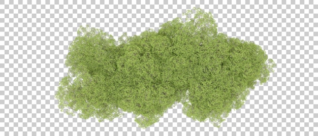 Groen bos geïsoleerd op de achtergrond 3D-rendering illustratie