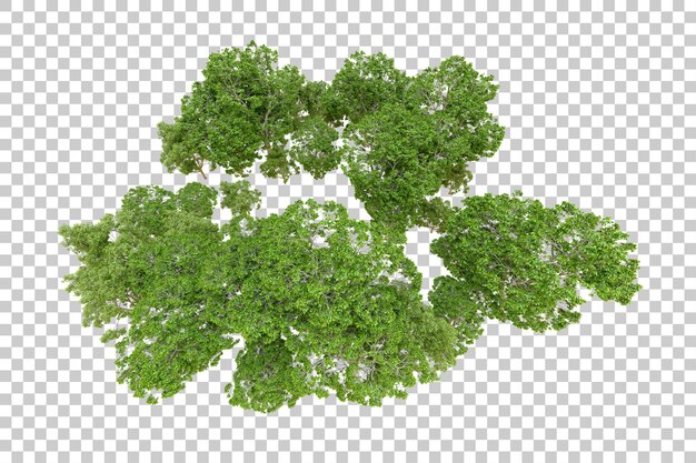 Groen bos geïsoleerd op transparante achtergrond 3d-rendering illustratie