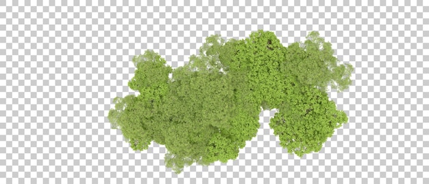 Groen bos geïsoleerd op witte achtergrond 3D-rendering illustratie