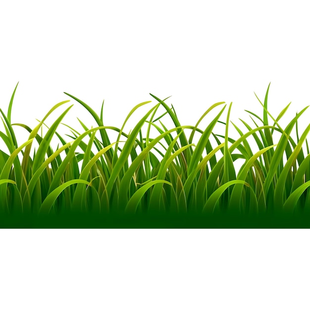 Groen gras geïsoleerd op een doorzichtige achtergrond 3