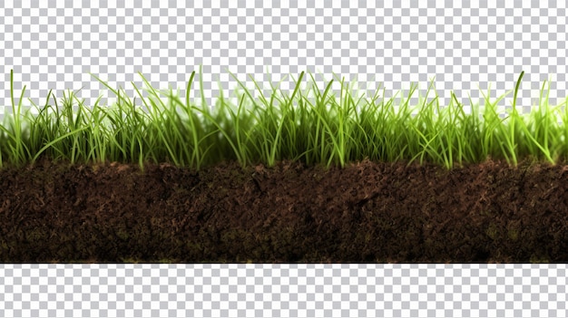 groen gras gesneden png