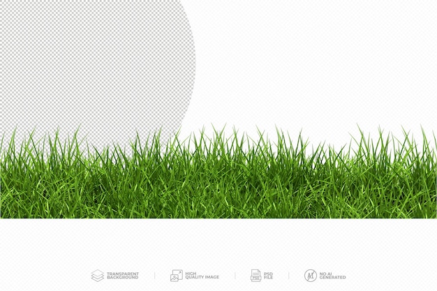 Groen gras op transparante achtergrond