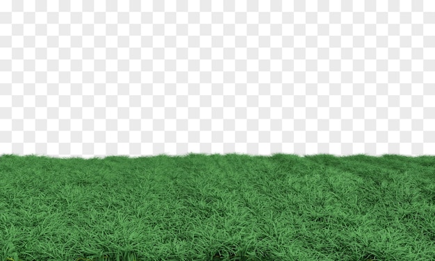 groen gras