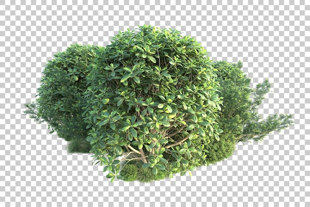 Groen landschap geïsoleerd op transparante achtergrond 3D rendering illustratie
