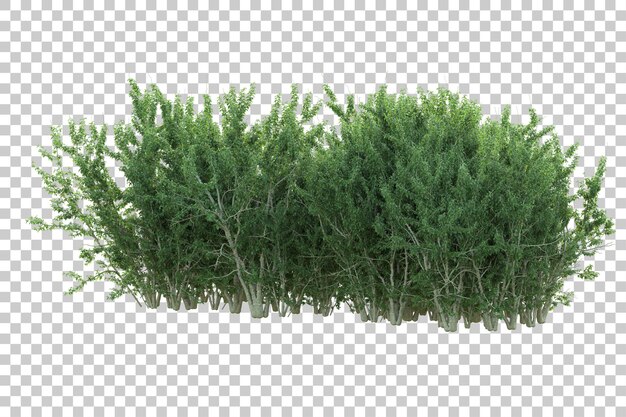 Groen landschap geïsoleerd op transparante achtergrond 3d rendering illustratie