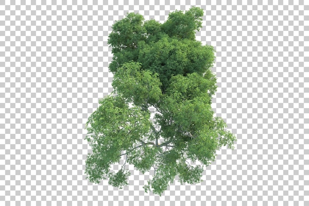 Groen landschap geïsoleerd op transparante achtergrond 3d rendering illustratie
