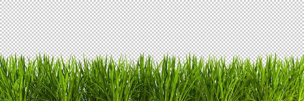Groen natuur gras weide landschapsarchitectuur uitgesneden transparante achtergronden 3d-rendering