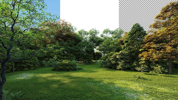 Groen park transparante achtergrond 3d-rendering