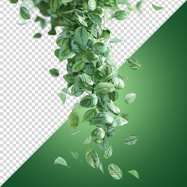 Groene bladeren beweging vallende stroom png