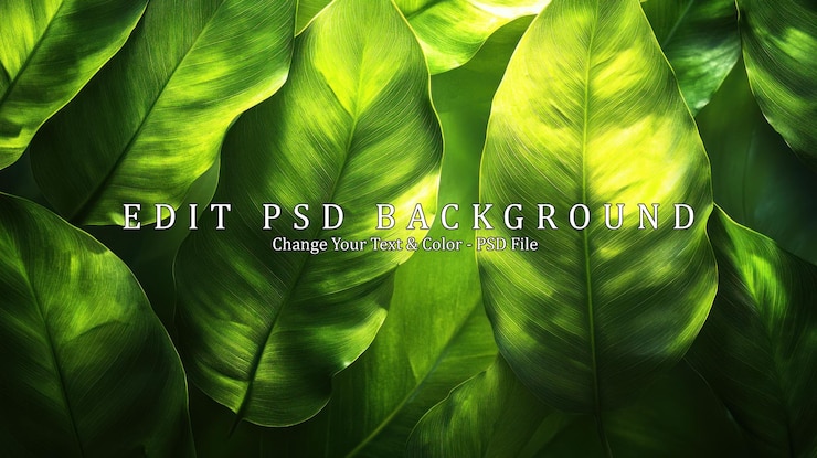 PSD groene bladeren op de achtergrond
