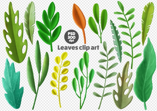 PSD groene bladeren psd clip art set