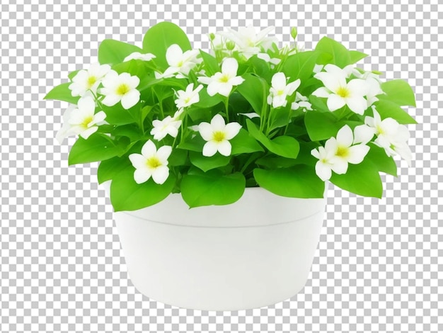 Groene bloemen in een witte pot