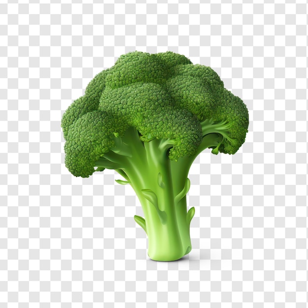 PSD groene broccoli op transparante achtergrond psd