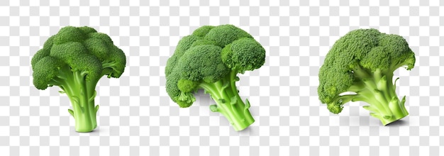 PSD groene broccoli op transparante achtergrond psd