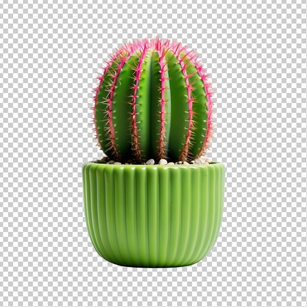 PSD groene cactus in een pot