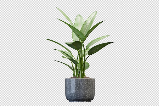 Groene kamerplant mockup in 3d-rendering