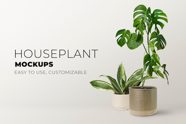 PSD groene kamerplant mockup psd banner