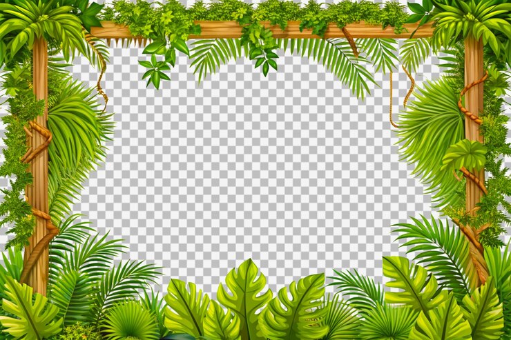 PSD groene natuur laat raam doorzichtige achtergrond