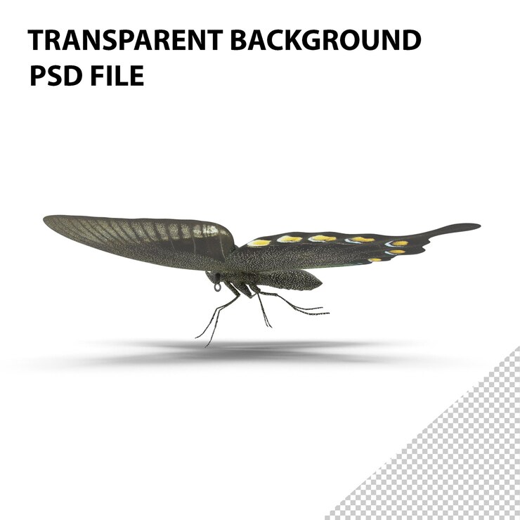 PSD groene papilio vlinder png