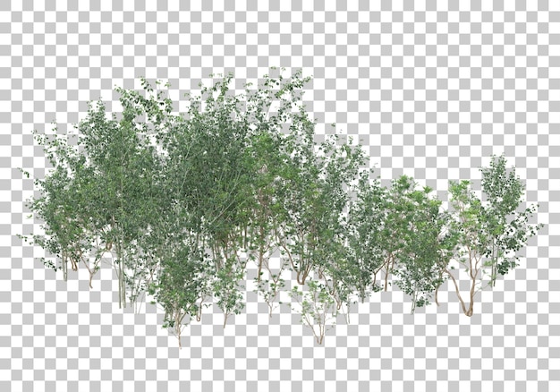 Groene planten en bloemen op transparante achtergrond 3d-rendering illustratie