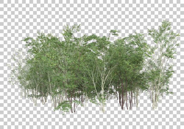 Groene planten met transparante achtergrond 3D-rendering illustratie