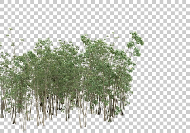 Groene struik met transparante achtergrond 3D-rendering illustratie