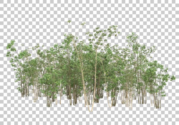 Groene struik met transparante achtergrond 3D-rendering illustratie