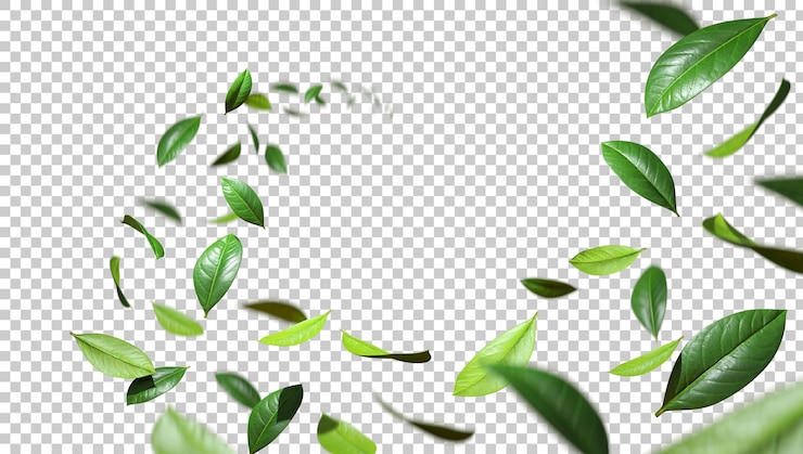 Groene versheid laat twist stromen in de lucht uitsnijd doorzichtige achtergronden 3d rendering PSD